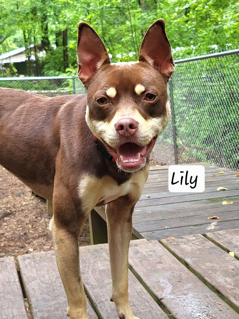 Della / Lily
