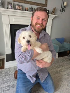 Opal, an adoptable Maltese, West Highland White Terrier / Westie in Nashville, TN, 37215 | Photo Image 2