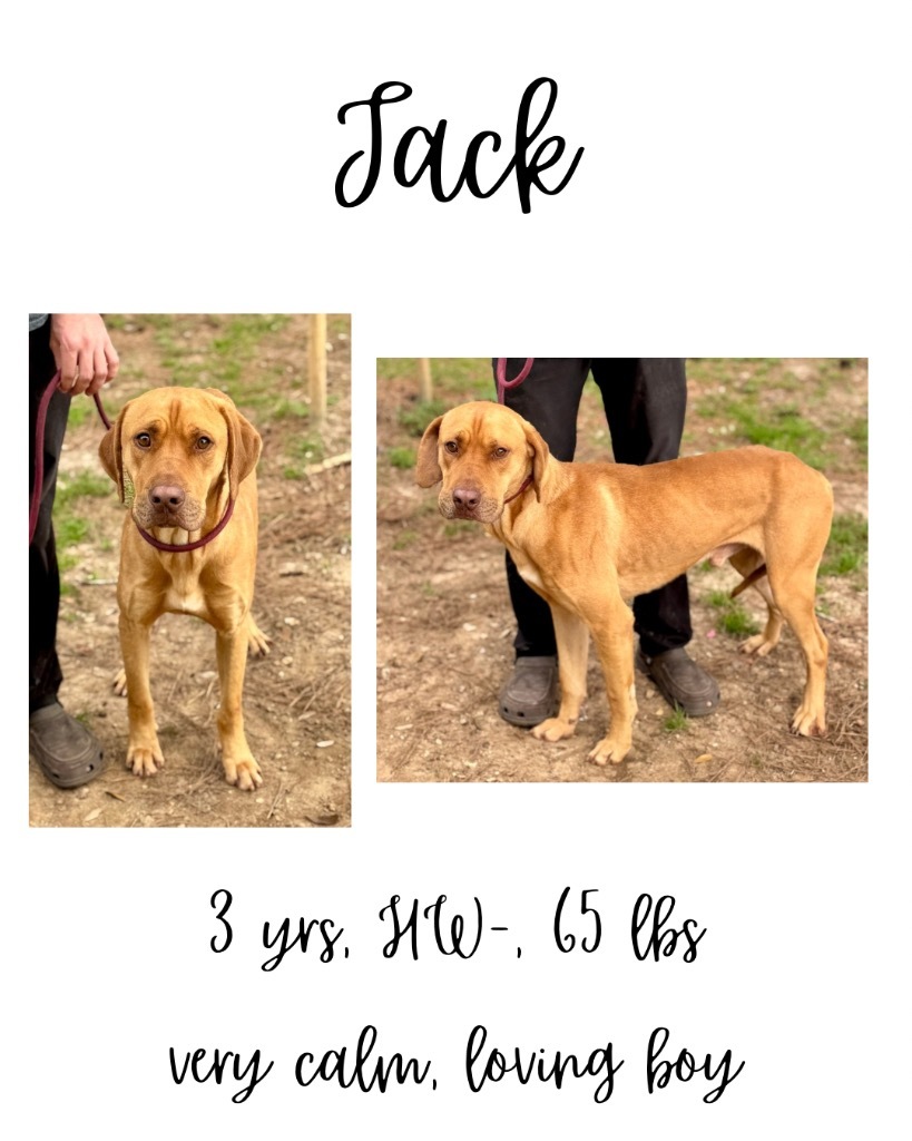 Jack