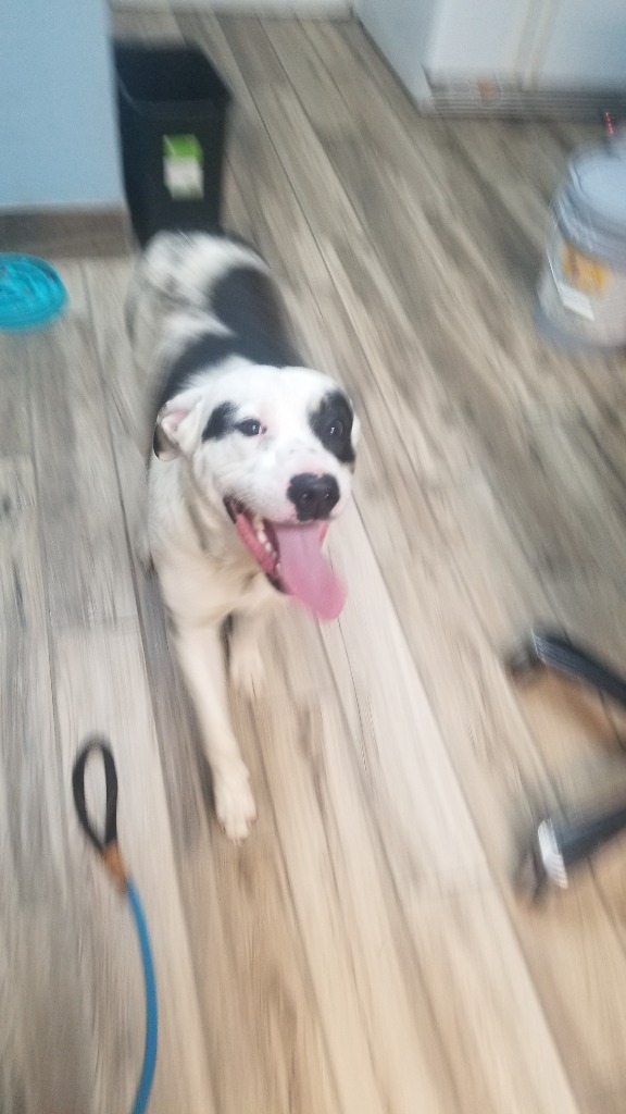 Pete