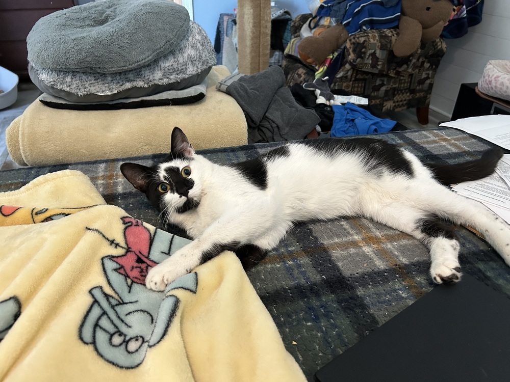 Jaxson De Ville