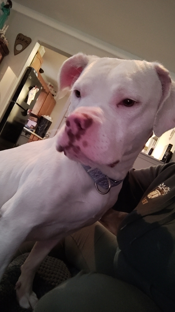 Mimzy