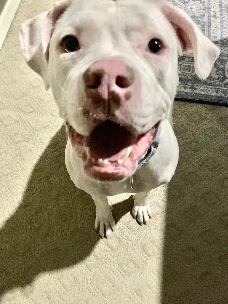 Mimzy