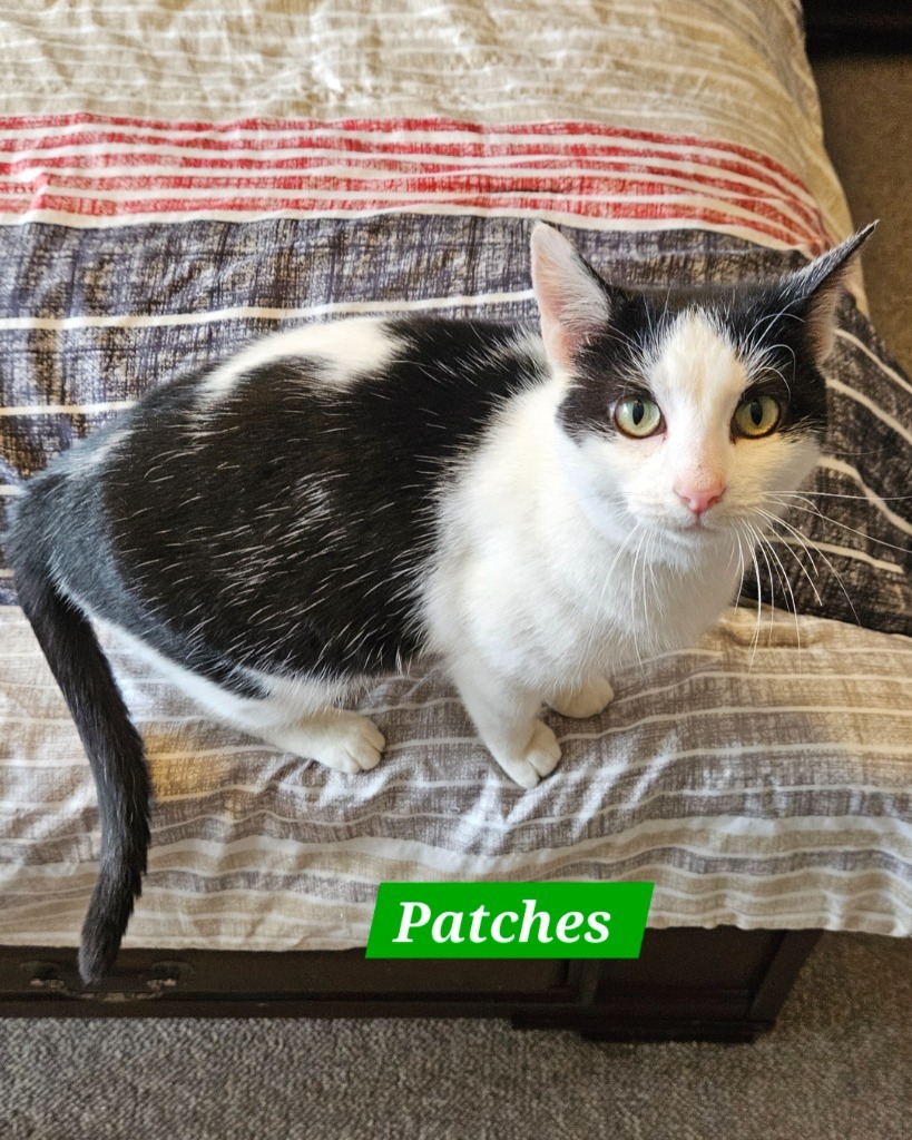 Patches