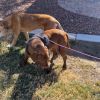 Blitz photo 3