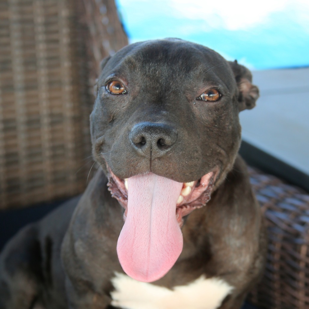 Hera