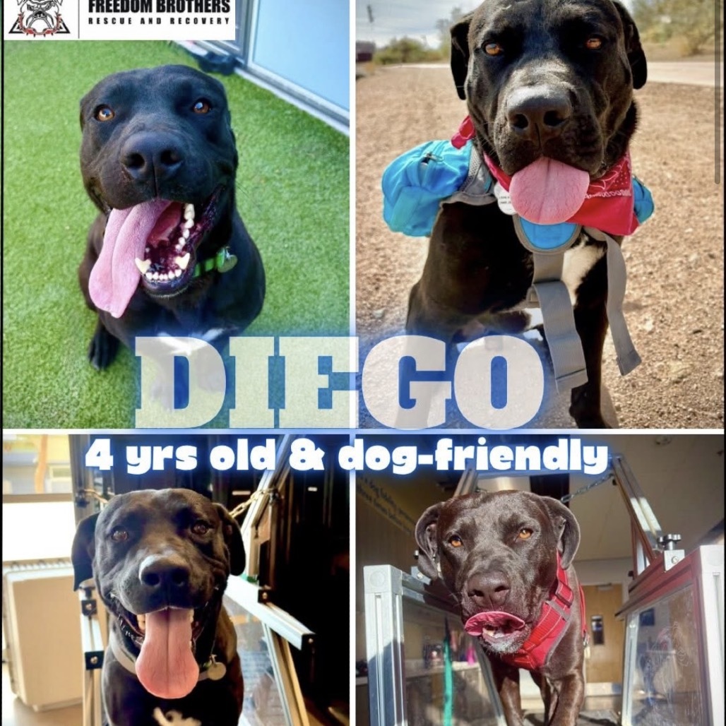 Diego