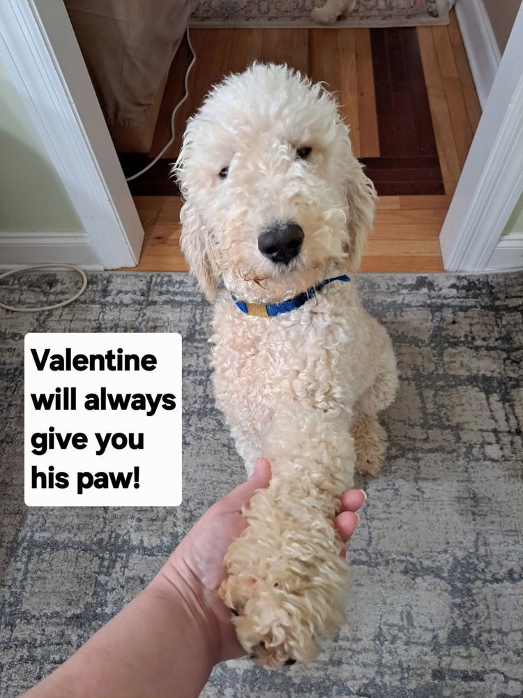 Valentine ~
