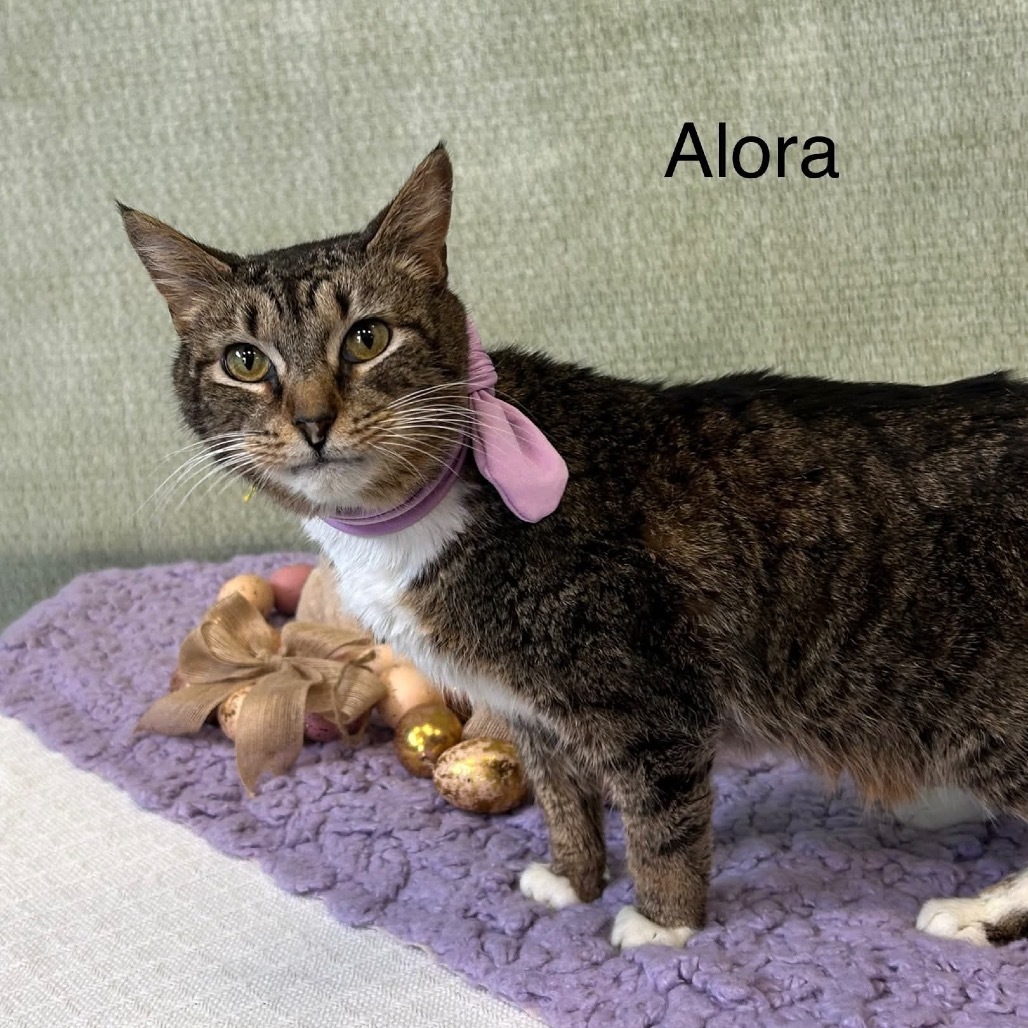 Alora
