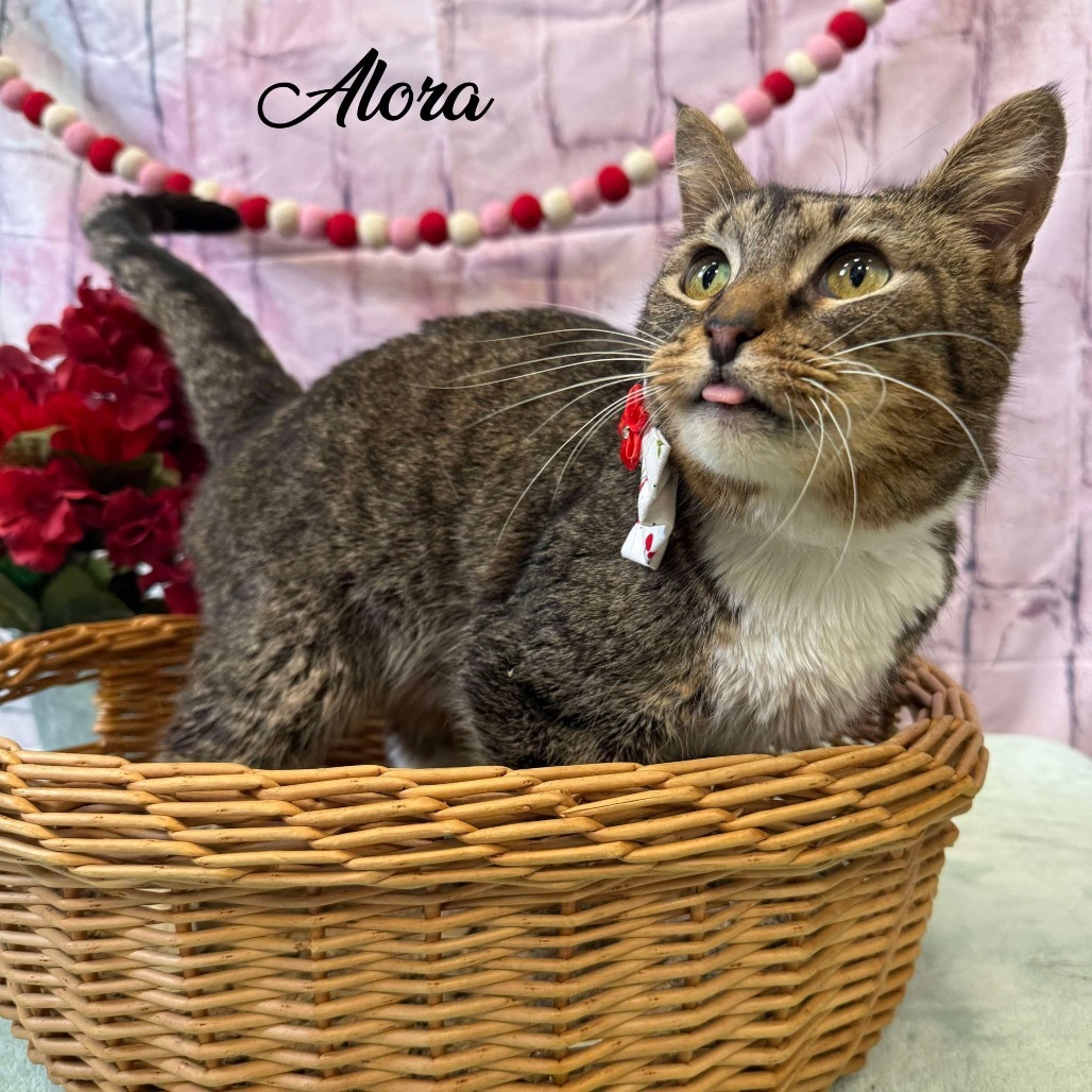 Alora