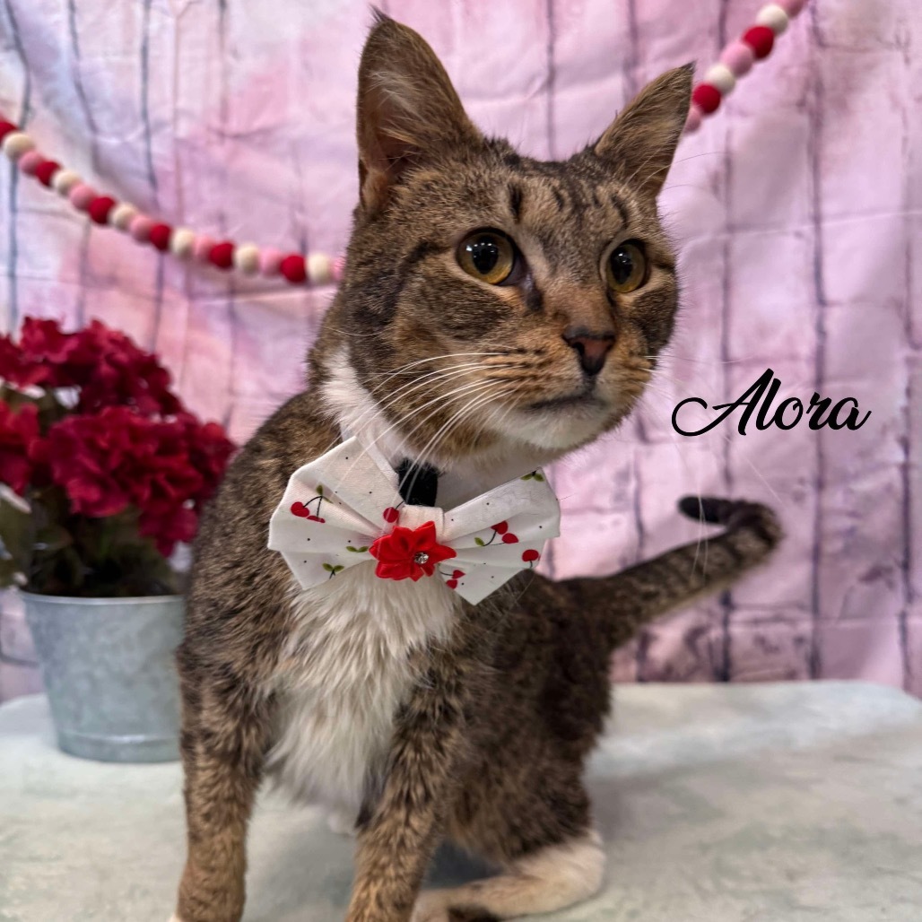 Alora