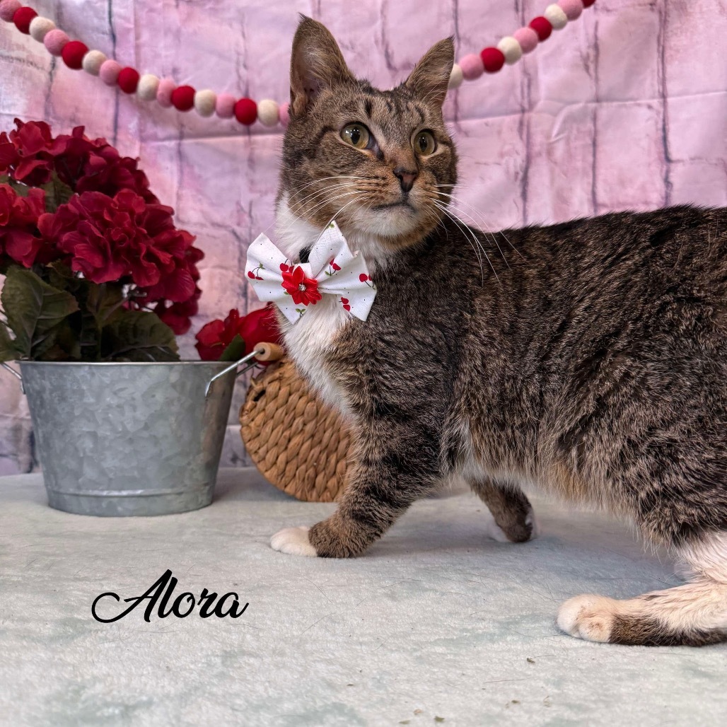 Alora