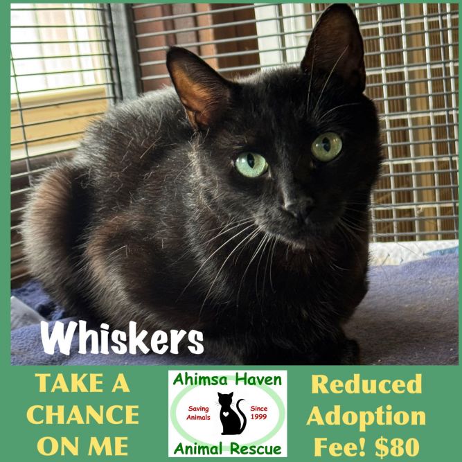 Whiskers