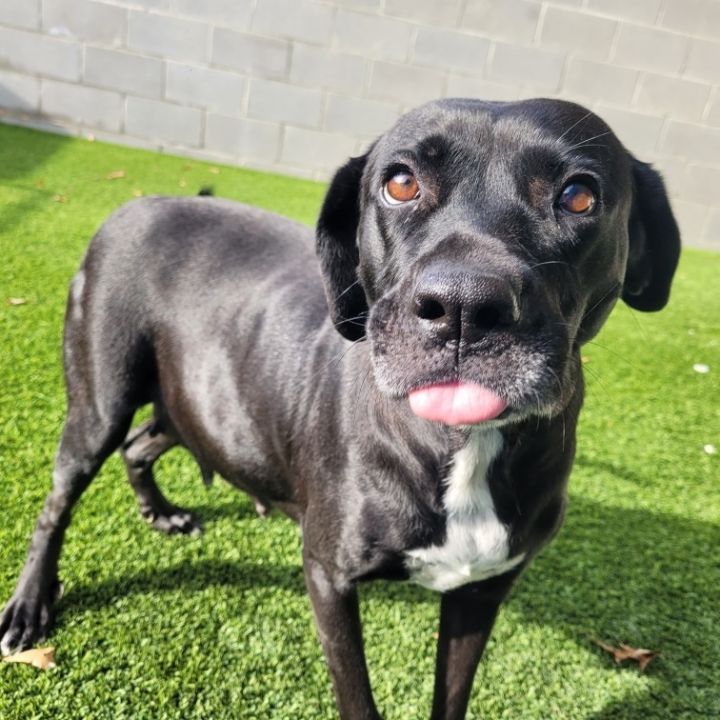 Lady J 3124 1