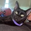 Luna photo 2