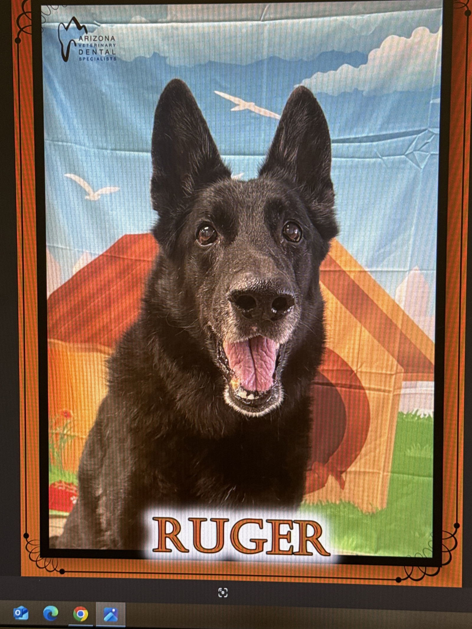 RUGER #3