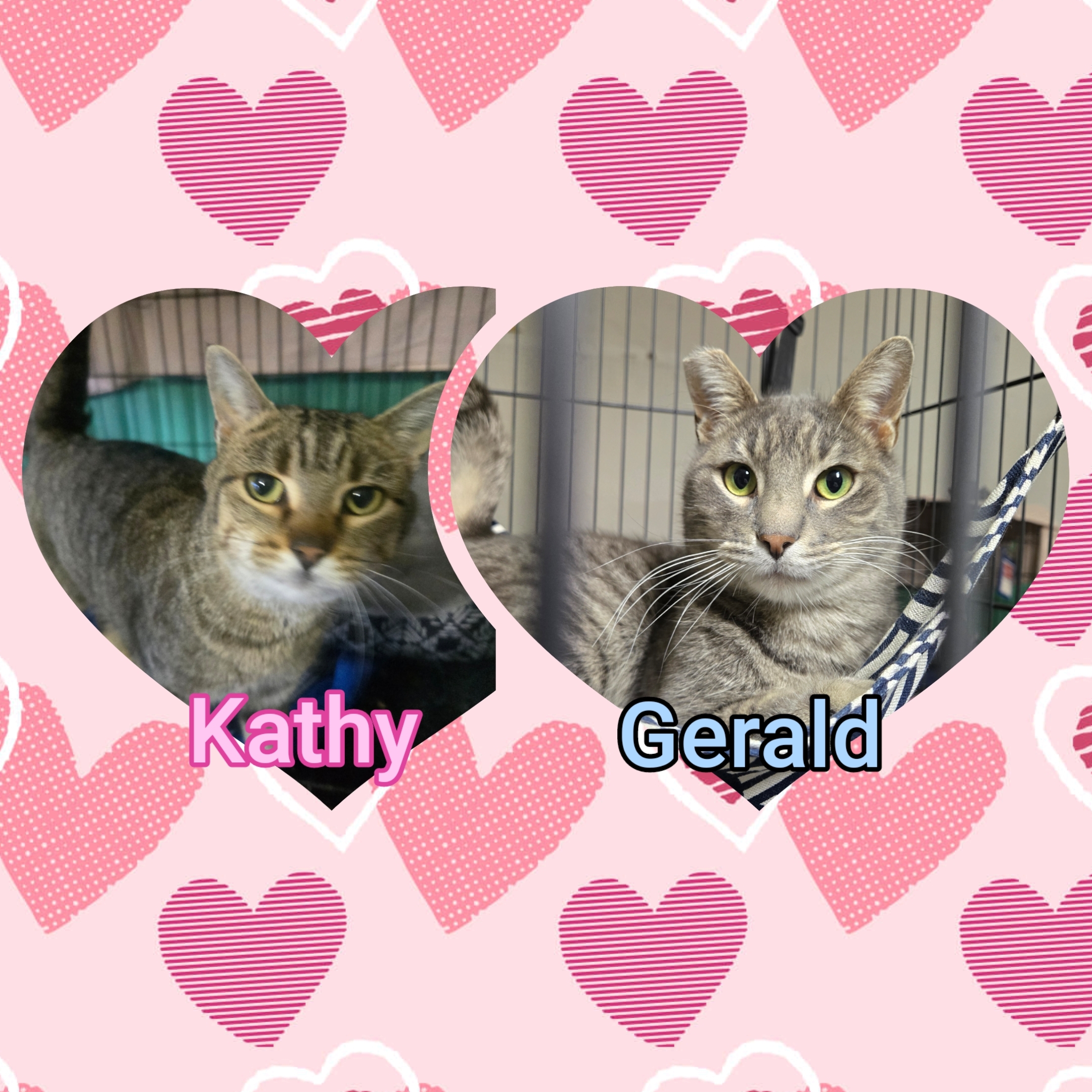 Kathy