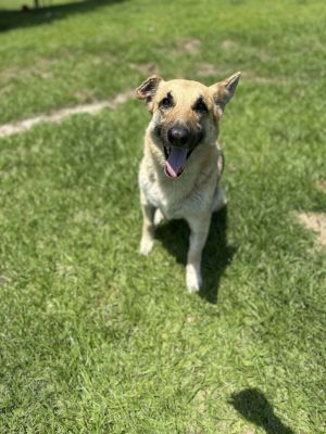 Ethel