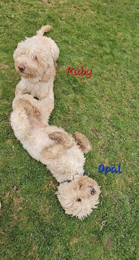Ruby