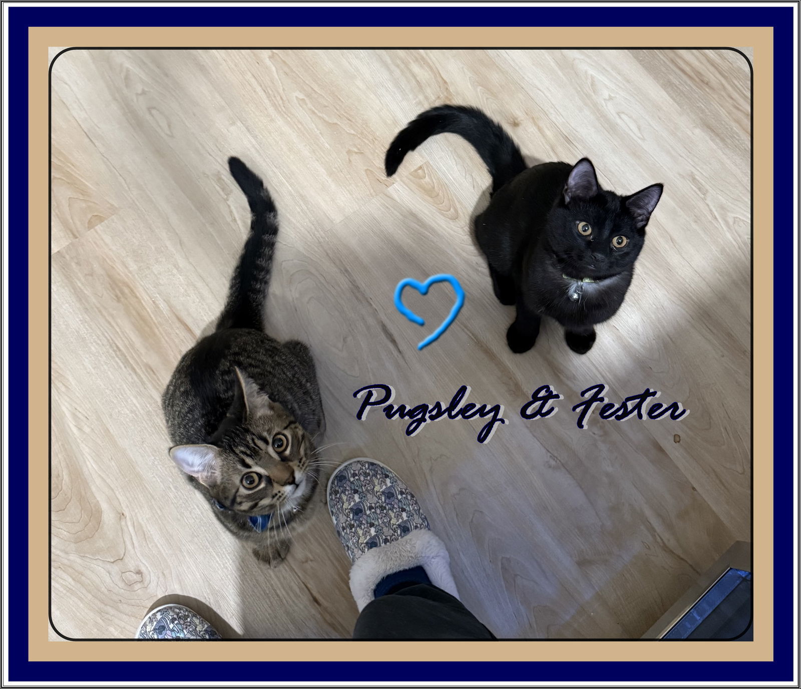 FESTER & PUGSLEY (CP)