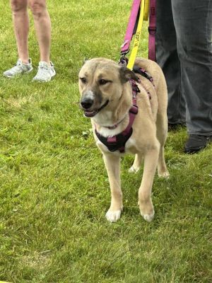 You can fill out an adoption application online on our official websiteKennedy TX is a female She