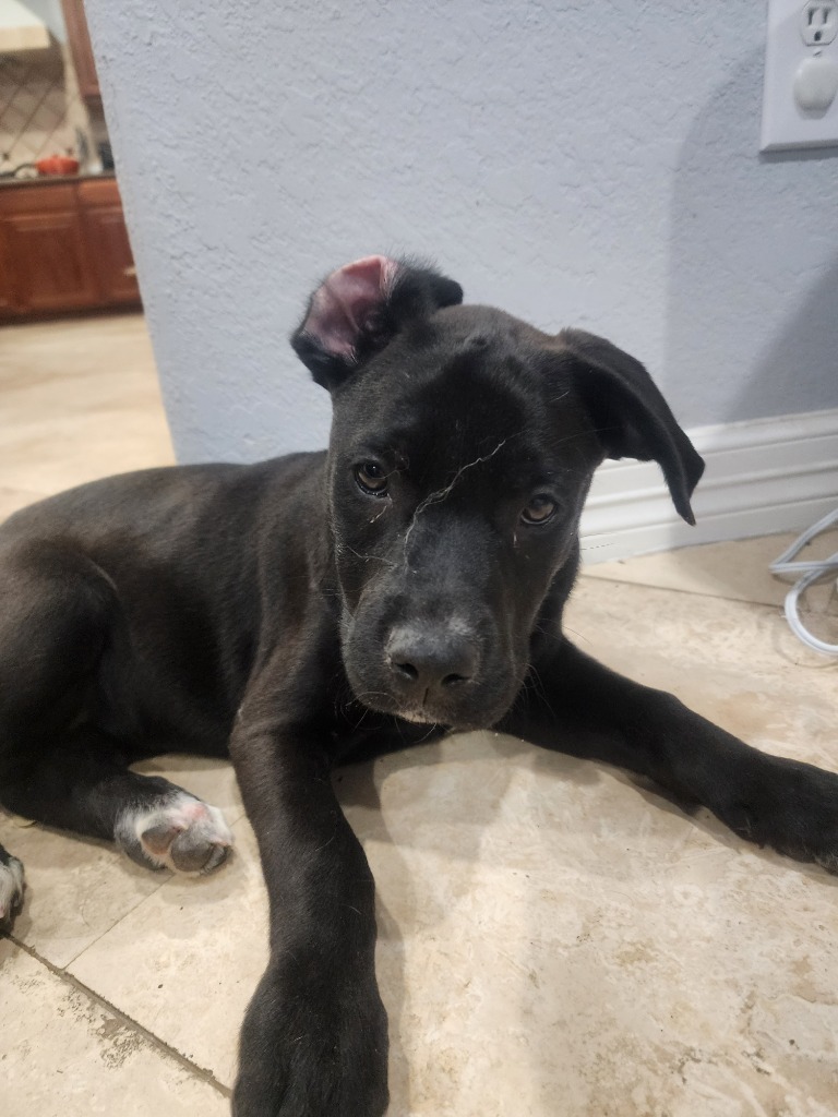 Tucker