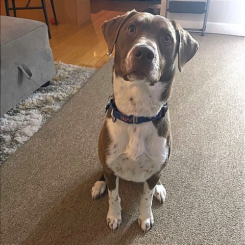 Petey