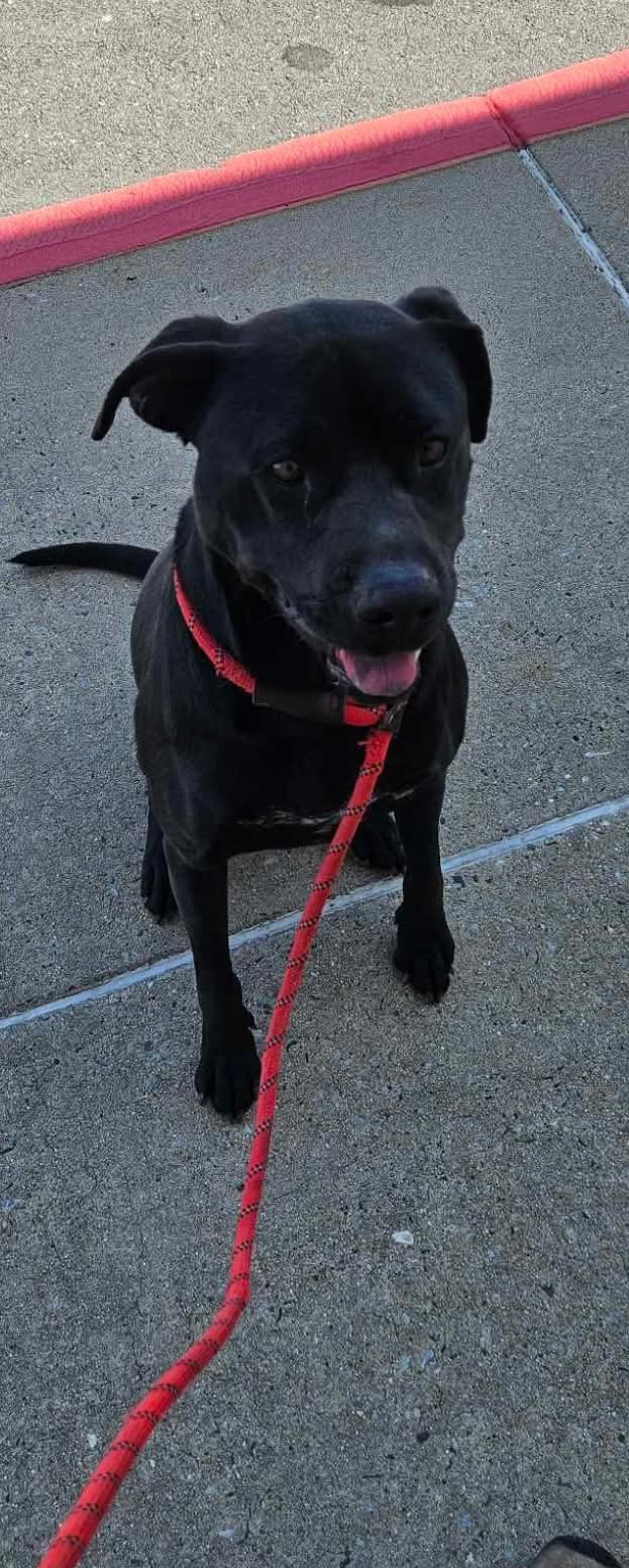 JUDE