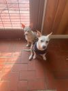 Athena photo 5