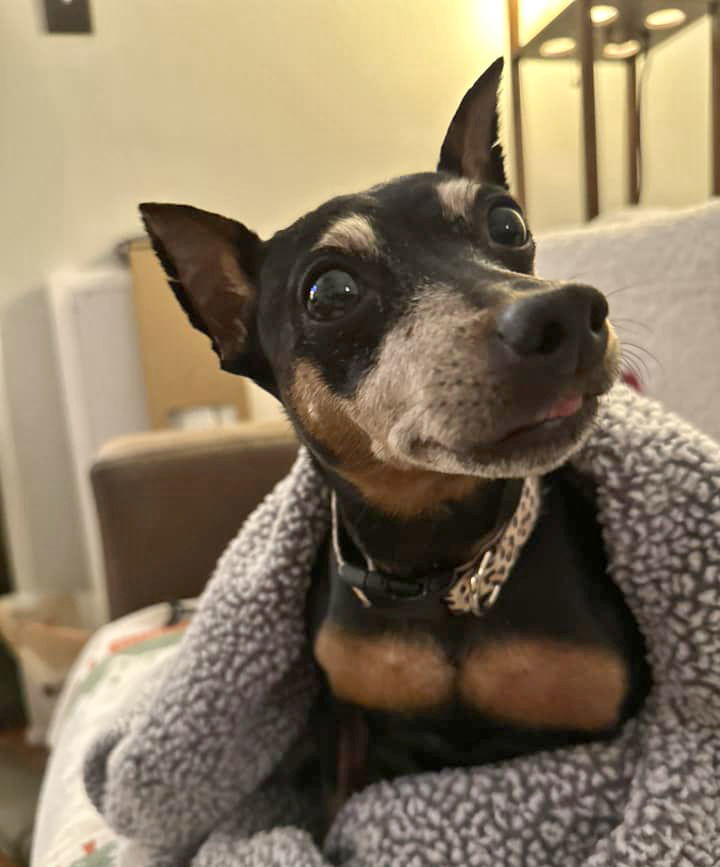 Molly