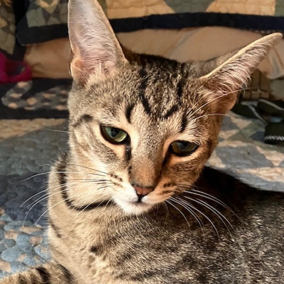 Pretty Boy
