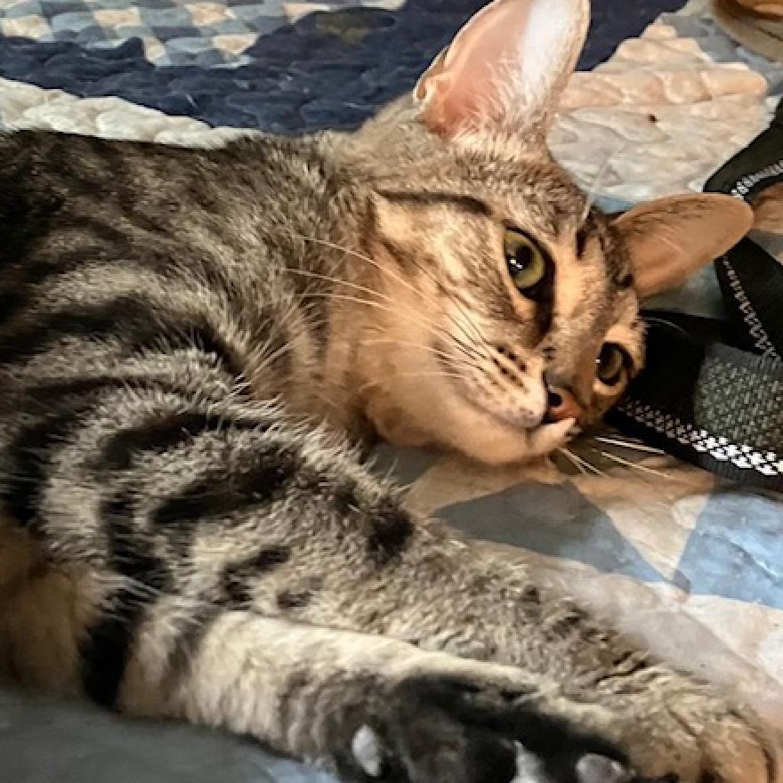 Pretty Boy