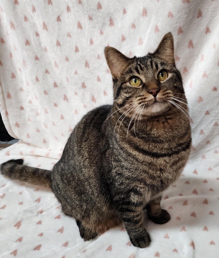 Simon