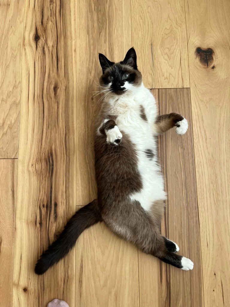 Sabrina