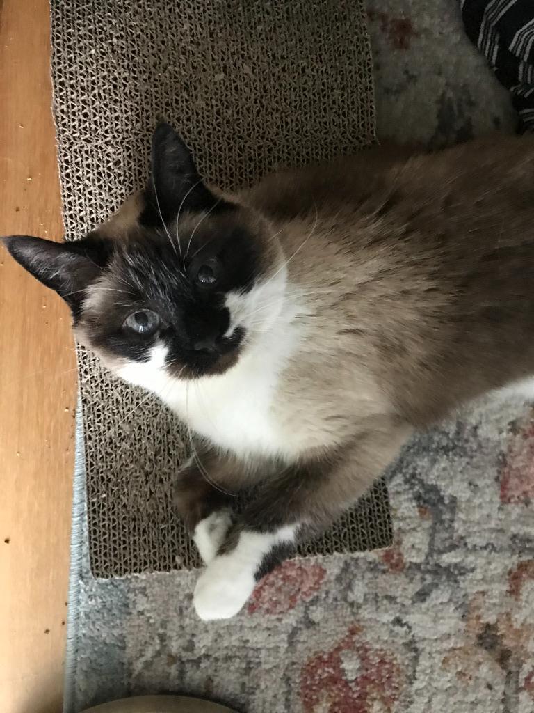 Sabrina