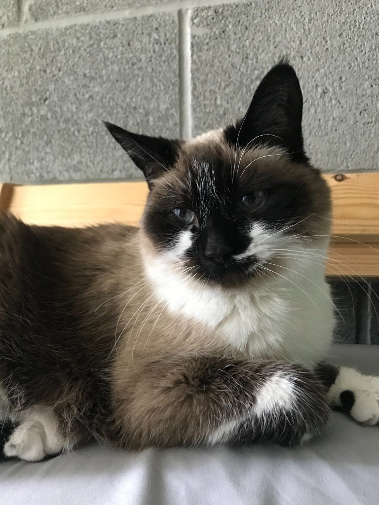 Sabrina