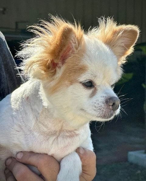 Max