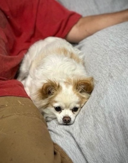 Max