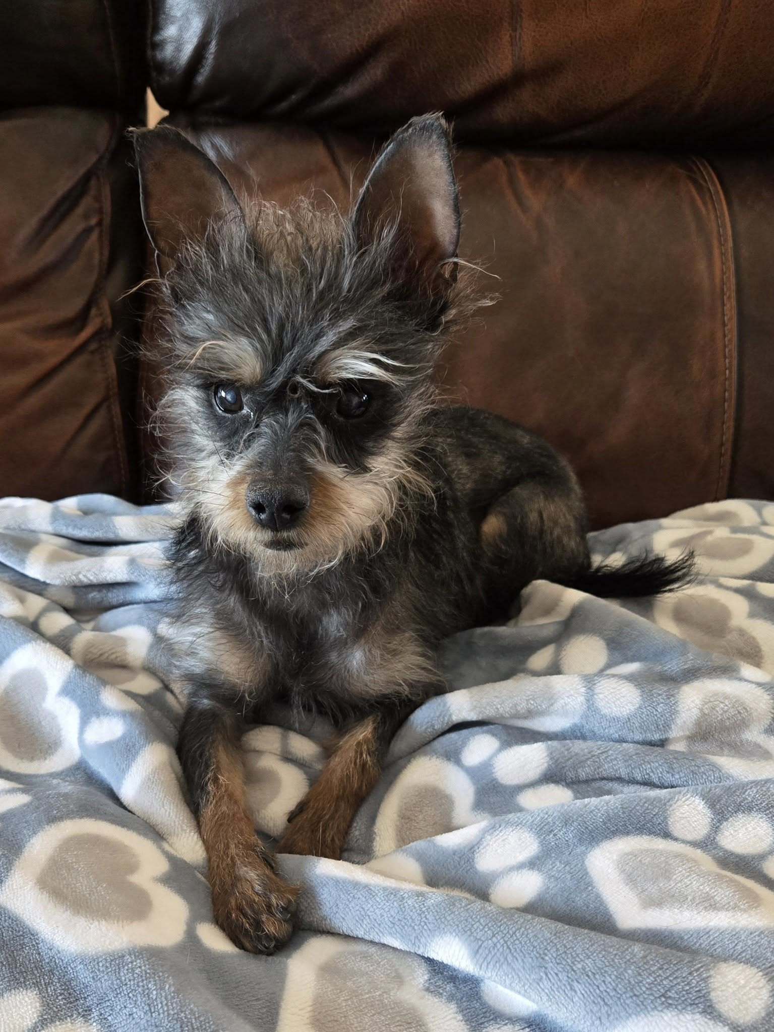 Sammy