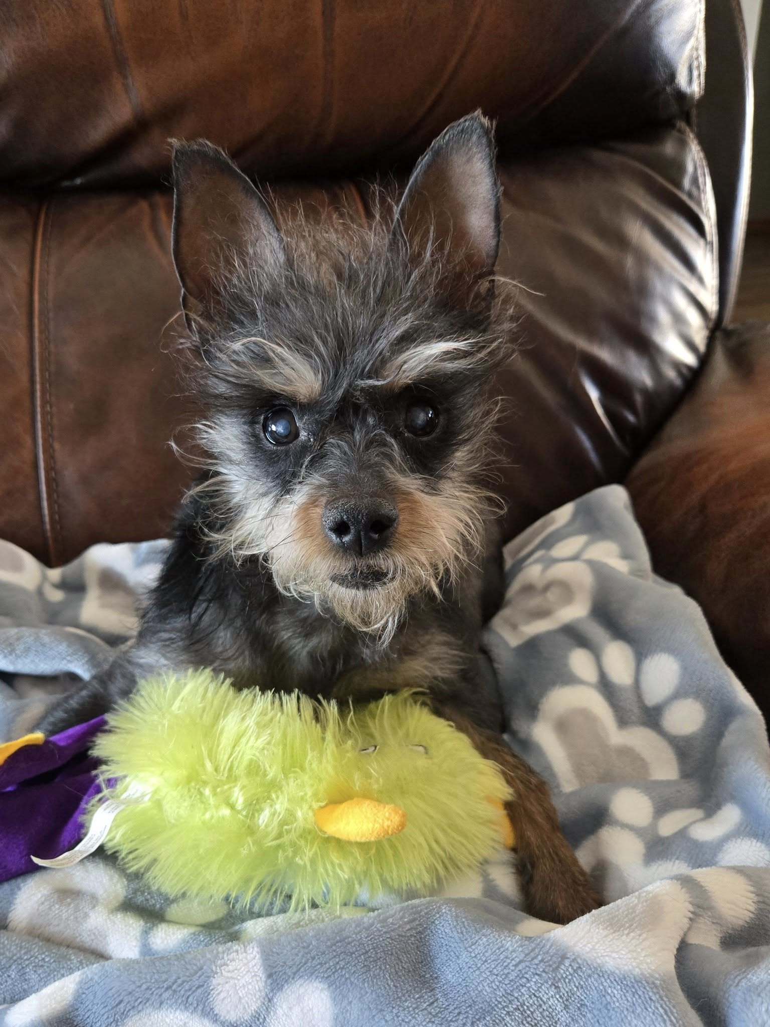 Sammy