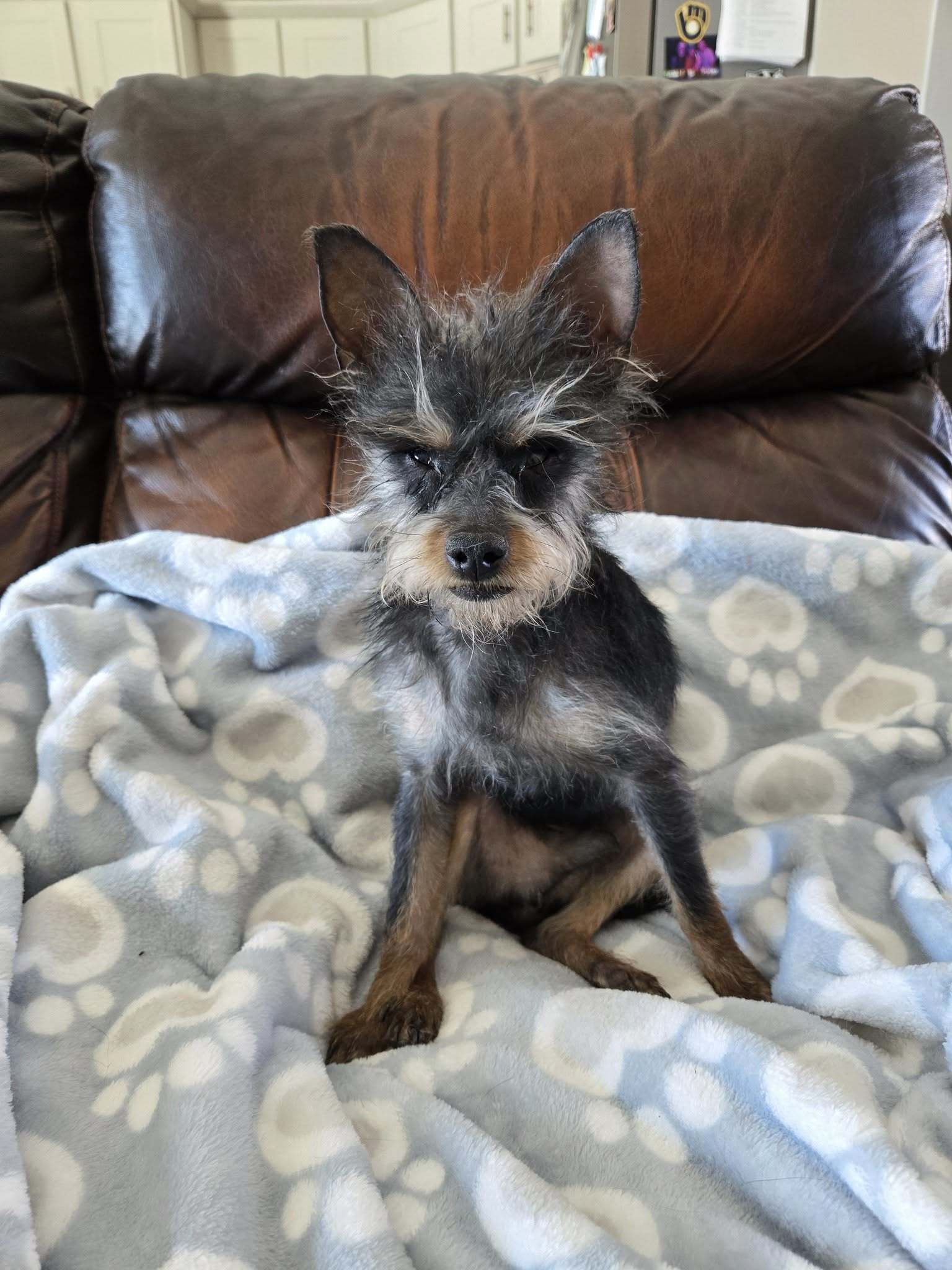 Sammy