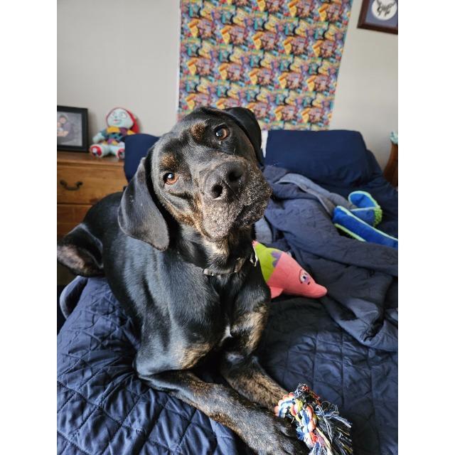 Bruno (Deuce)