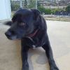 Luka photo 1