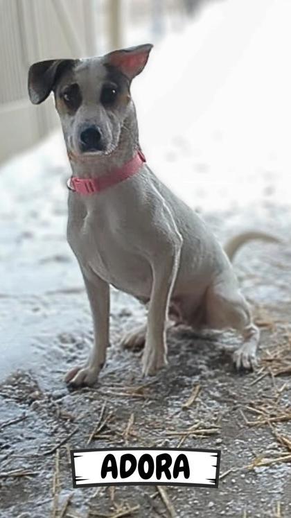 Adora