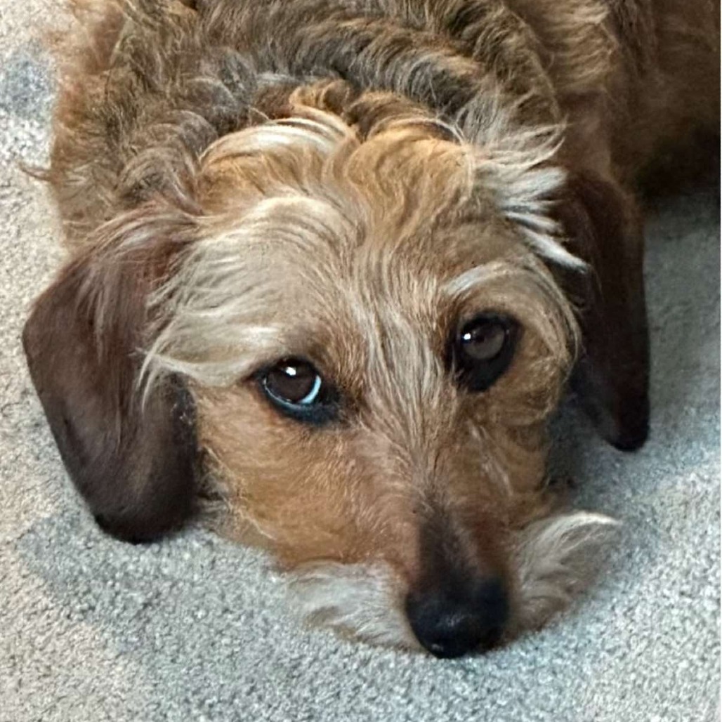 Bailey