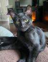 Walter photo 1