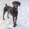 7816 Zeus photo 1