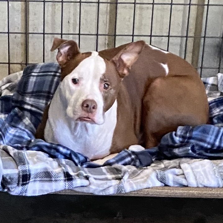 Tyson