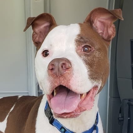 Tyson