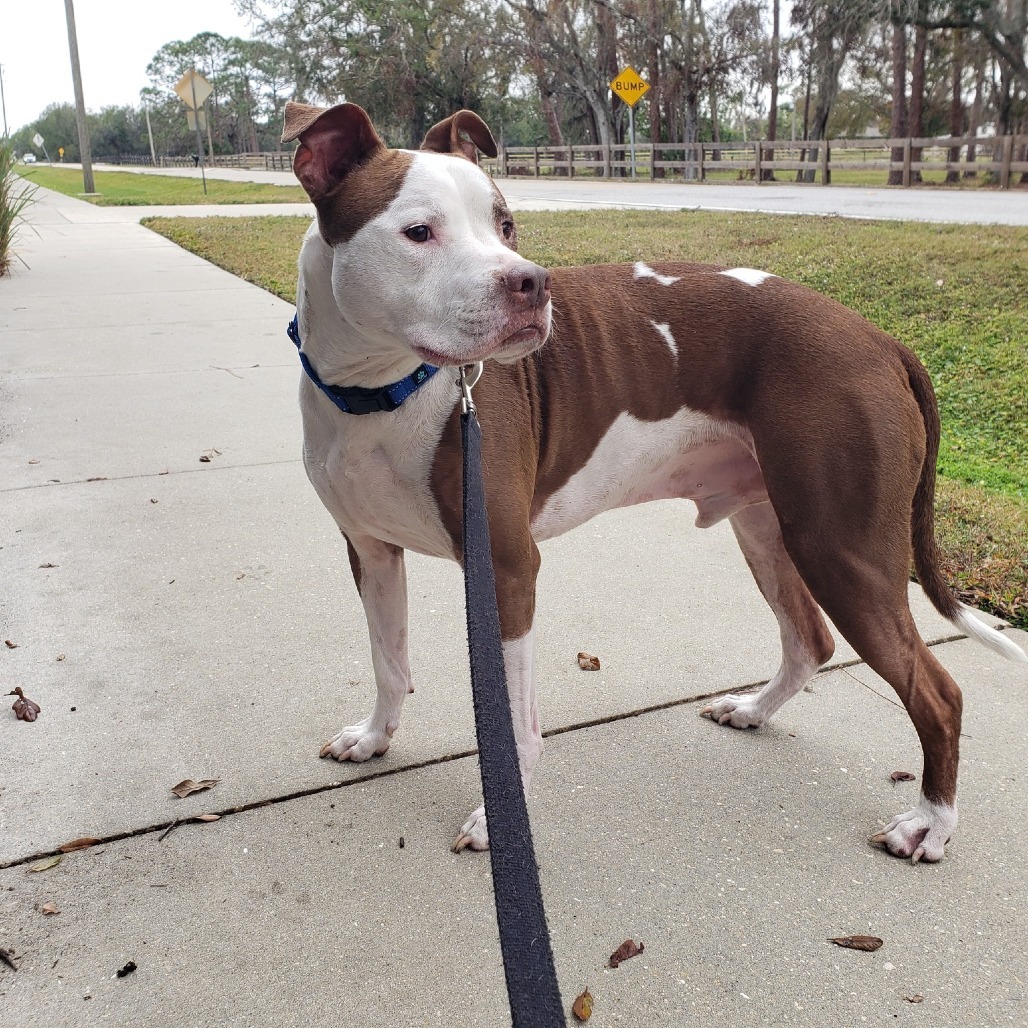 Tyson
